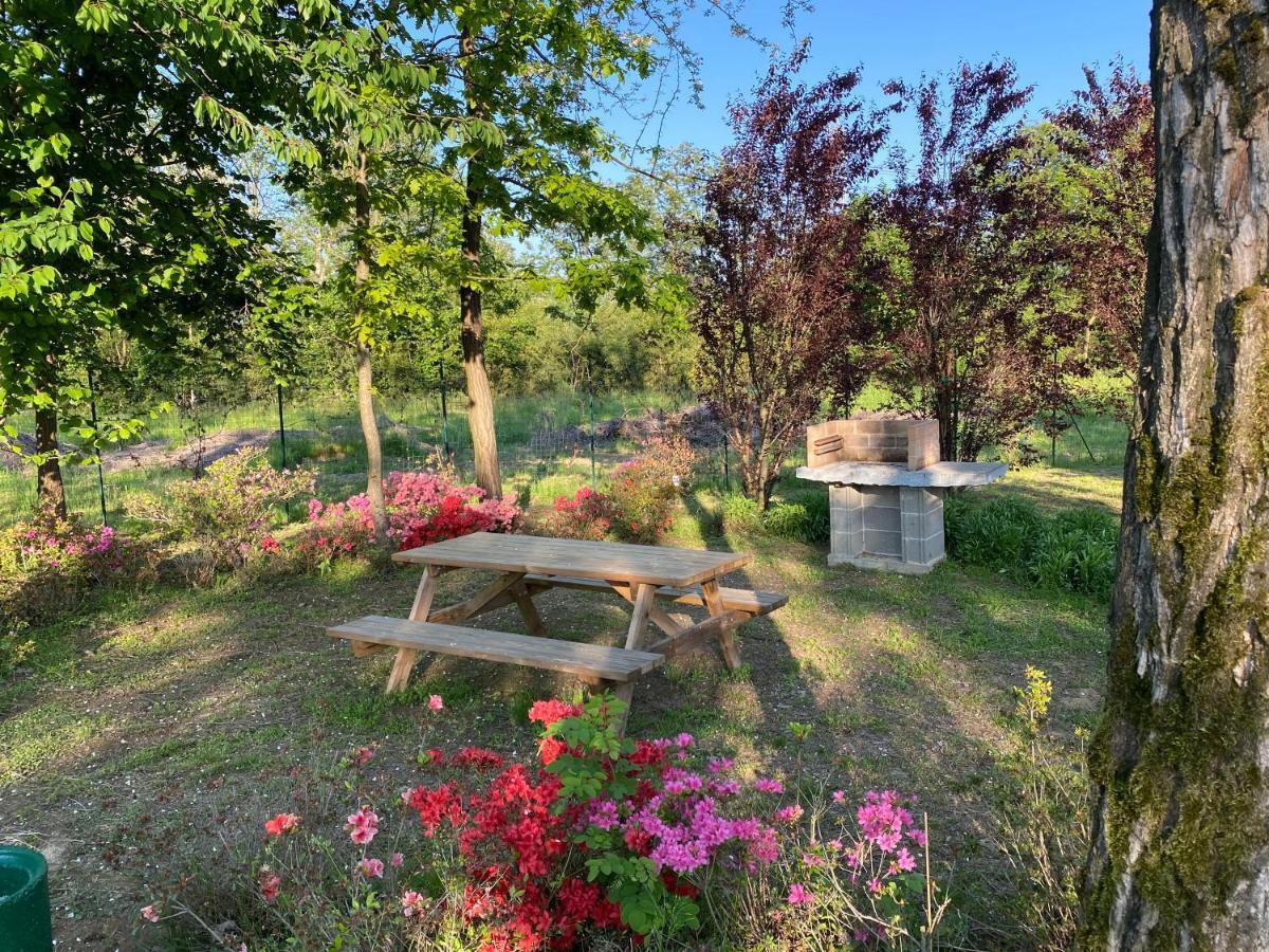 Oasilandia Bed & Breakfast Dorno Exterior photo